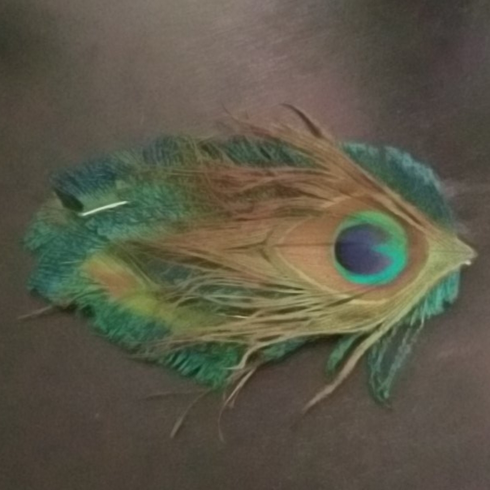 Handmade peacock hairclip